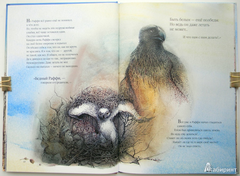 Иллюстрация 13 из 39 для Раффи, белоснежный орёл - Рэйнвиль, Джеминиани | Лабиринт - книги. Источник: Раскова  Юлия