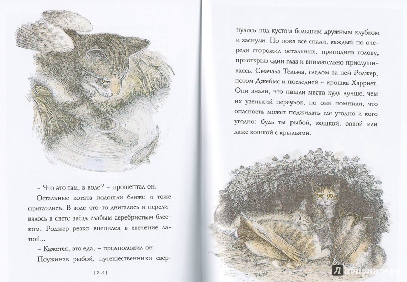 Иллюстрация 25 из 59 для Крылатые кошки - Гуин Ле | Лабиринт - книги. Источник: book lover