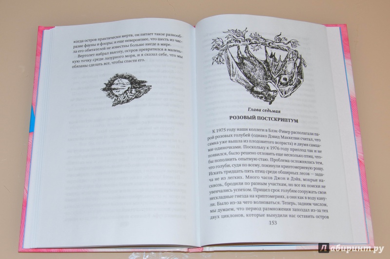 Иллюстрация 41 из 49 для Золотые крыланы и розовые голуби - Джеральд Даррелл | Лабиринт - книги. Источник: leo tolstoy