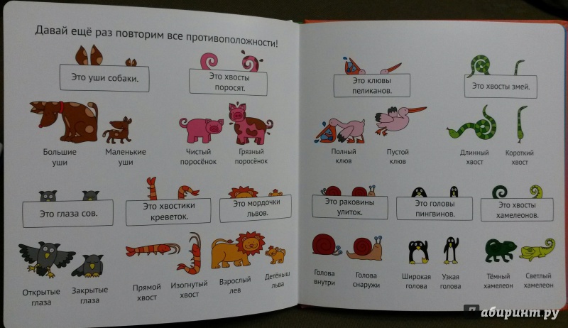Иллюстрация 11 из 13 для Учим животных и противоположности | Лабиринт - книги. Источник: Петрашова  Мария