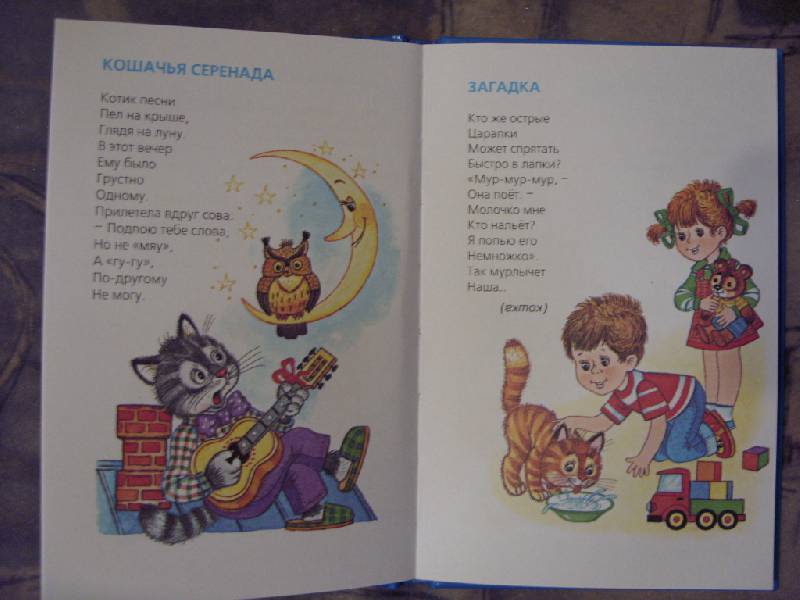 Иллюстрация 9 из 14 для Веселые котята: Стихи для детей | Лабиринт - книги. Источник: Золотая рыбка