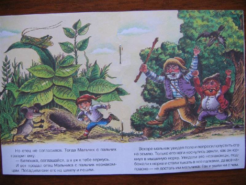 Иллюстрация 1 из 2 для Мальчик с Пальчик | Лабиринт - книги. Источник: Крошка Сью