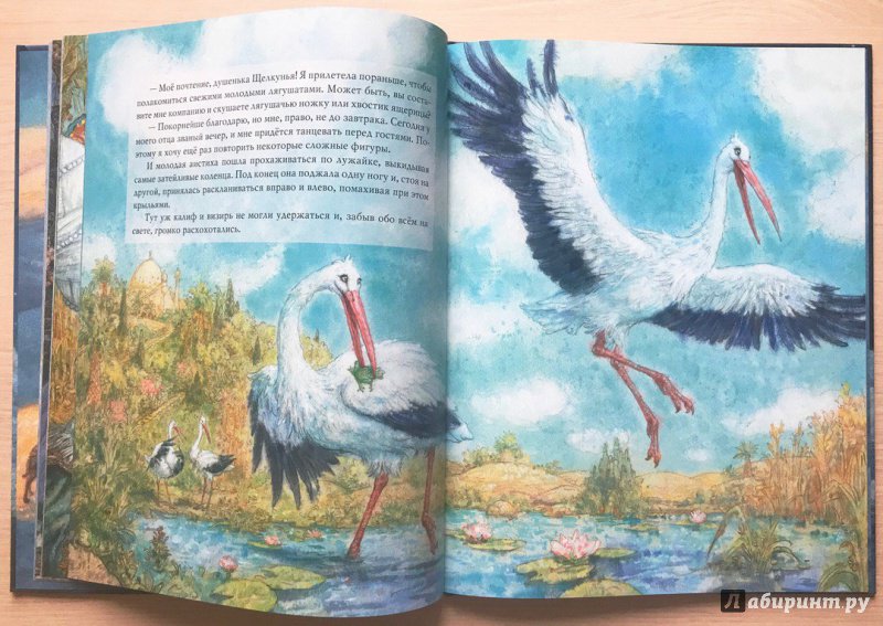 Иллюстрация 50 из 63 для Калиф-аист - Вильгельм Гауф | Лабиринт - книги. Источник: Книжный шкаф детям