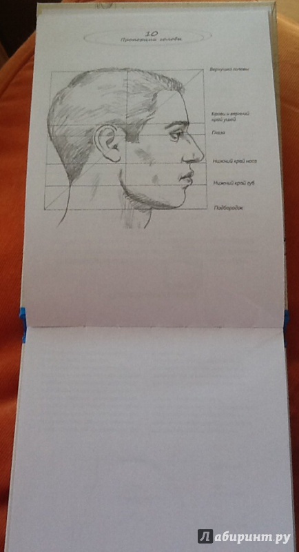 Иллюстрация 2 из 25 для Рисуем на коленке портрет - Баррингтон Барбер | Лабиринт - книги. Источник: Смирнова  Анна