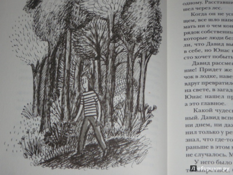 Иллюстрация 16 из 36 для Навозный жук летает в сумерках - Мария Грипе | Лабиринт - книги. Источник: солнечная поганка