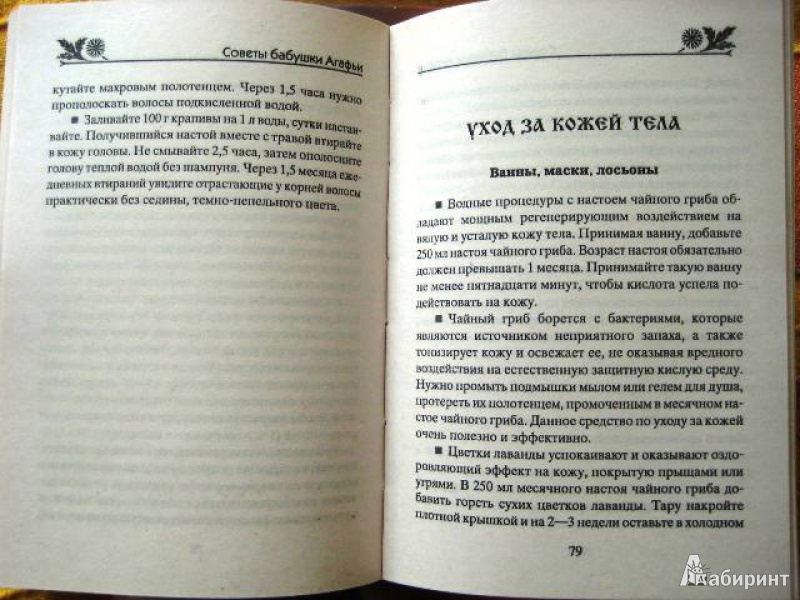 Иллюстрация 8 из 10 для Лечебная косметика из натуральных продуктов. Лучшие рецепты эффективно и доступно - Агафья Звонарева | Лабиринт - книги. Источник: An Zhe