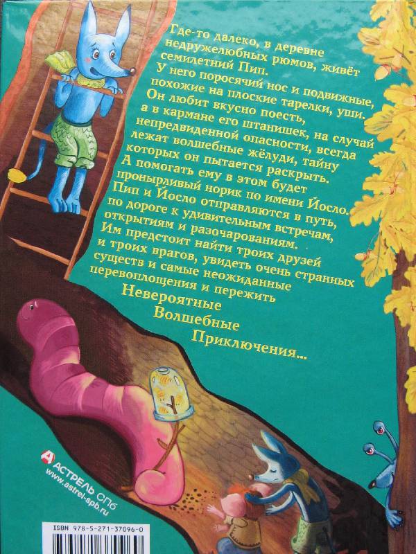 Иллюстрация 2 из 16 для Волшебные жёлуди. Одно удивительное приключение трусливого рюма и глупого норика - Тоня Шипулина | Лабиринт - книги. Источник: Ольга