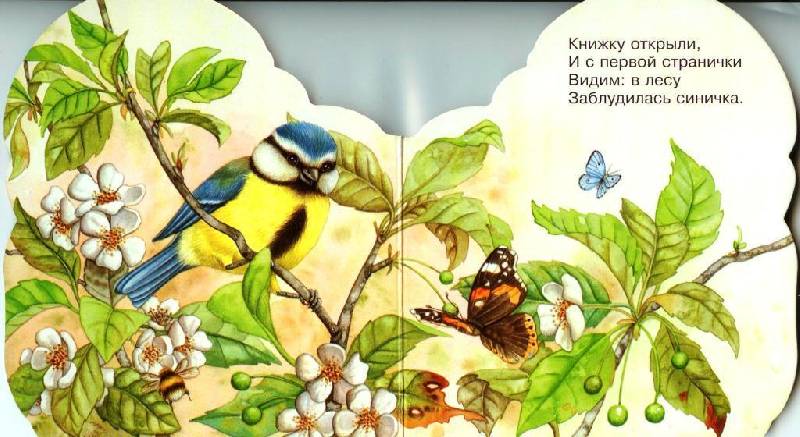 Иллюстрация 3 из 6 для Про синичку. Зверята - В. Комаров | Лабиринт - книги. Источник: Zhanna