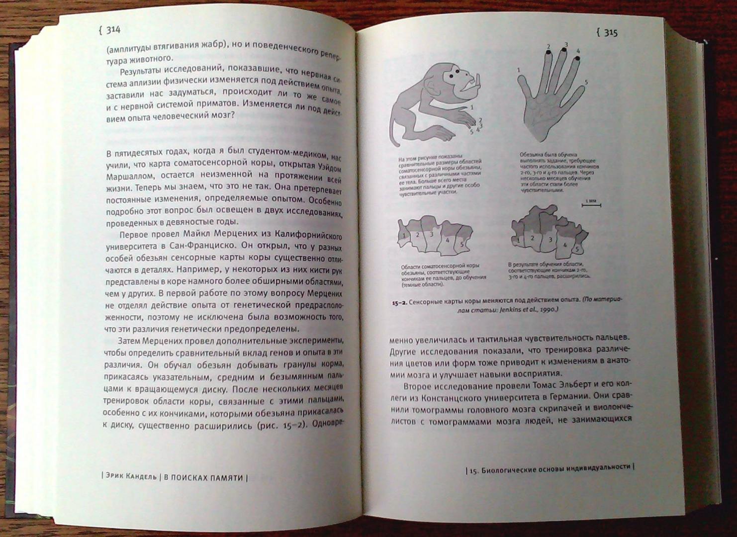 Иллюстрация 9 из 24 для В поисках памяти. Возникновение новой науки о человеческой психике - Эрик Кандель | Лабиринт - книги. Источник: Лабиринт