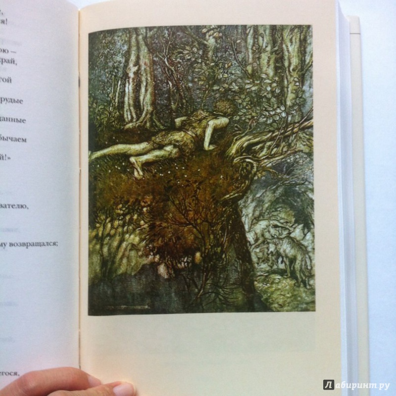 Иллюстрация 21 из 30 для Беовульф. Песнь о нибелунгах | Лабиринт - книги. Источник: Шиншилла