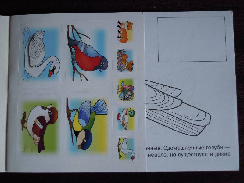 Иллюстрация 3 из 7 для Мои первые уроки "Птицы" (05826) | Лабиринт - книги. Источник: Iwolga