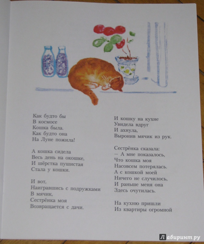 Иллюстрация 40 из 49 для Немножко про кошку - Надежда Полякова | Лабиринт - книги. Источник: Штерн  Яна