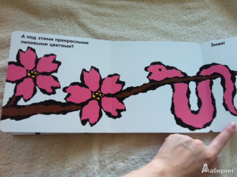 Иллюстрация 8 из 31 для Кто прячется под цветами? - Юсуке Енедзу | Лабиринт - книги. Источник: Anastasiya_Vivaax