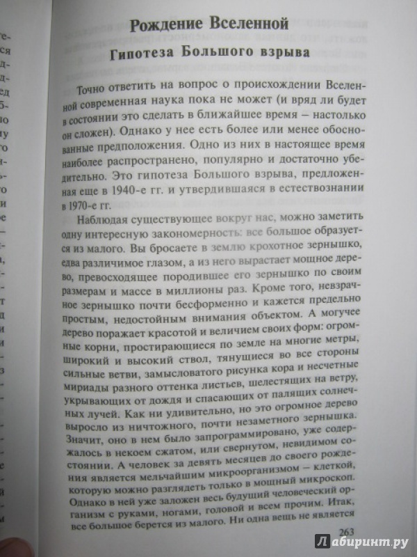 Иллюстрация 16 из 16 для Удивительная философия - Дмитрий Гусев | Лабиринт - книги. Источник: Евгения39