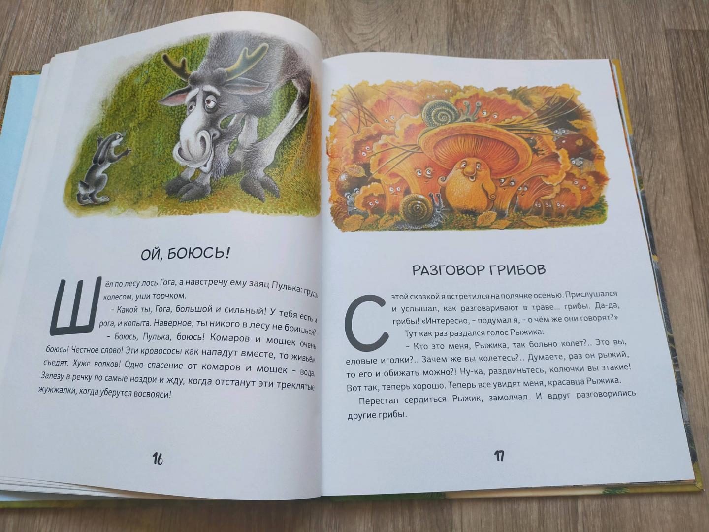 Иллюстрация 132 из 141 для Приключения зайца Пульки и его друзей - Валерий Кастрючин | Лабиринт - книги. Источник: Лабиринт