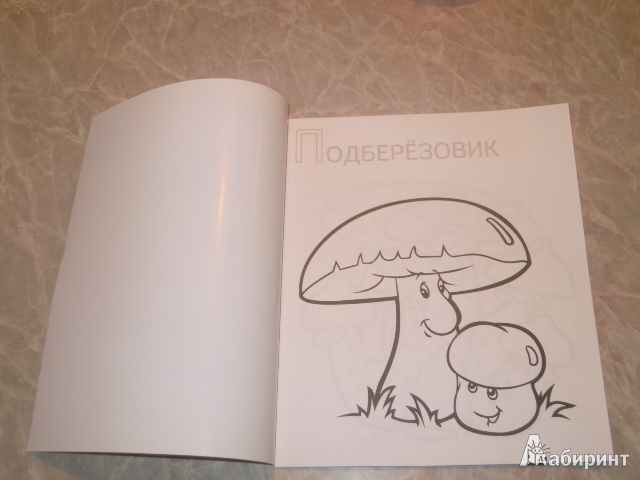 Иллюстрация 5 из 15 для Забавные грибы | Лабиринт - книги. Источник: Iwolga