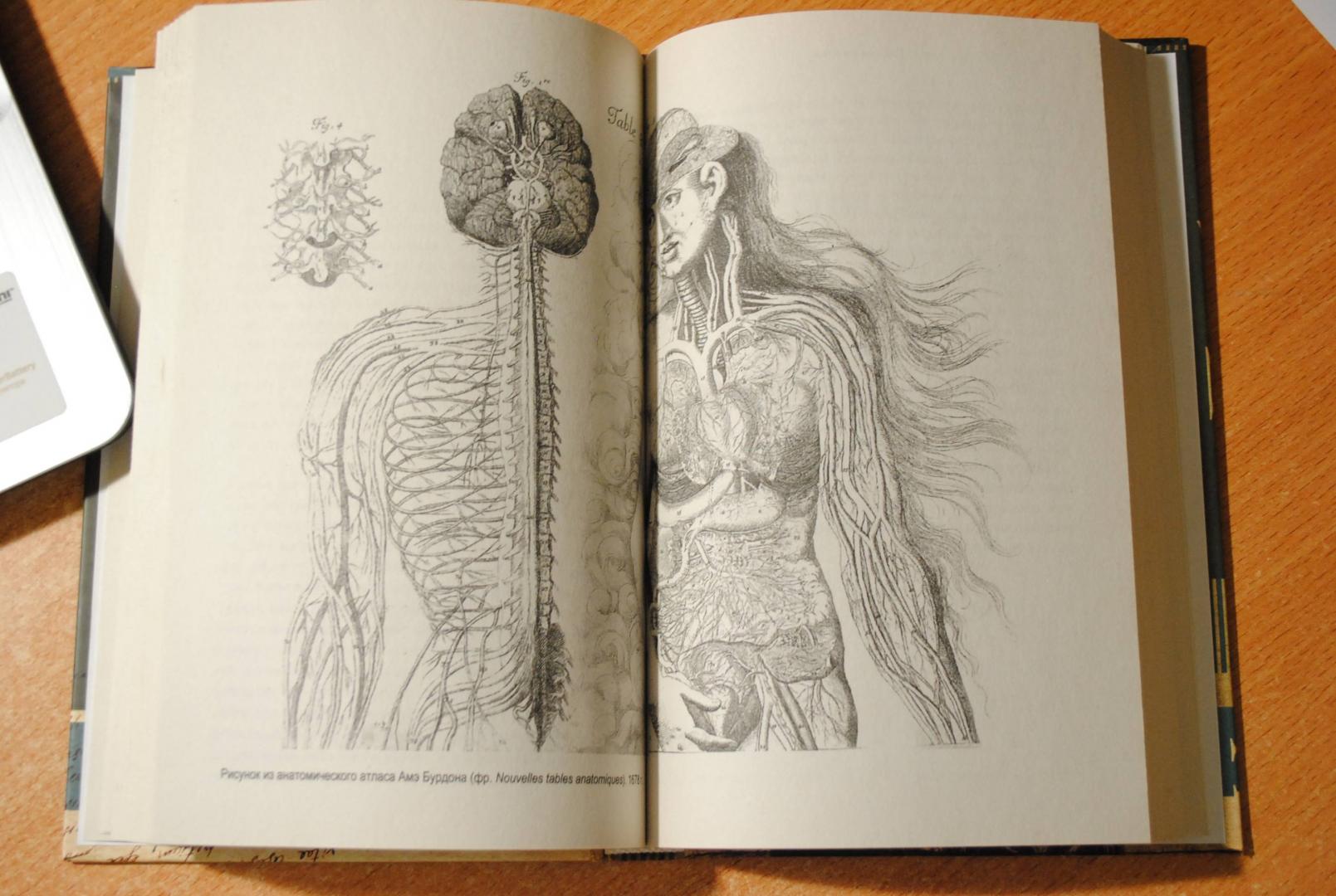Иллюстрация 41 из 46 для Мозг. Тайны разума - Уайлдер Пенфилд | Лабиринт - книги. Источник: Бачкалов Егор