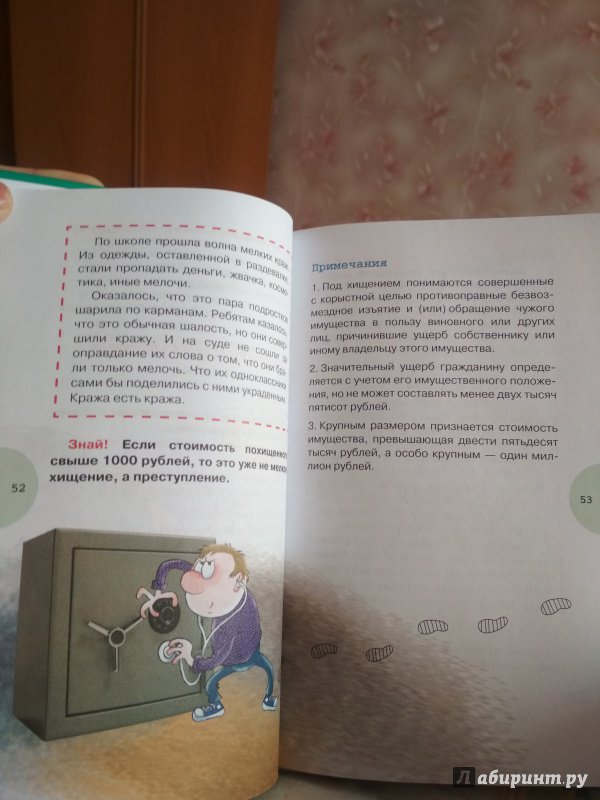 Иллюстрация 50 из 63 для Иллюстрированный уголовный кодекс для подростков - Узорова, Нефедова | Лабиринт - книги. Источник: Дашутка