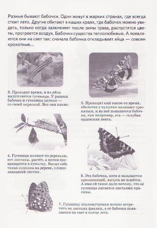 Книга зеленые страницы 2 класс первые бабочки