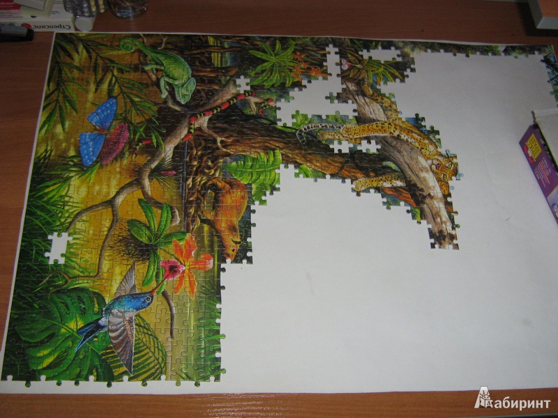 Иллюстрация 2 из 7 для Жизнь в джунглях,  2000 деталей (C-200375-NEW) | Лабиринт - игрушки. Источник: Мартемьянова  Елена Юрьевна