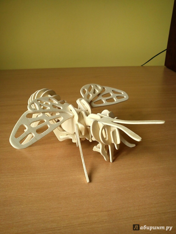Иллюстрация 3 из 6 для Сборная деревянная модель "Пчела" (E030) | Лабиринт - игрушки. Источник: Данилов  Александр Сергеевич