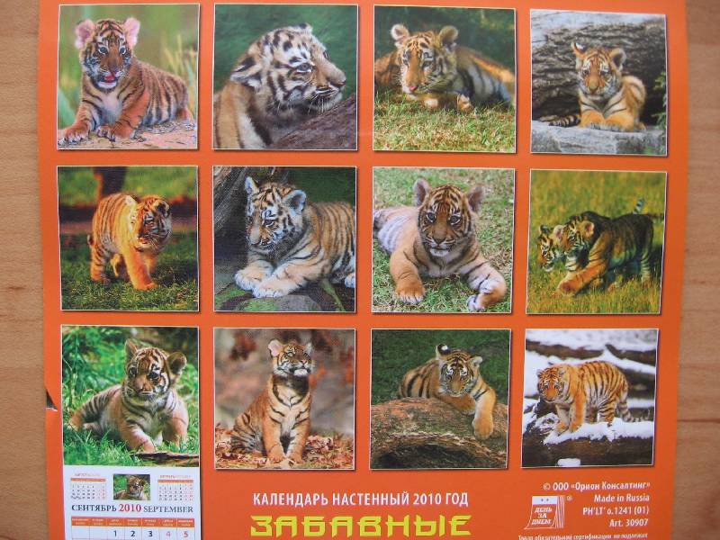 Иллюстрация 5 из 5 для Календарь. 2010 год. Забавные тигрята (30907) | Лабиринт - сувениры. Источник: Red cat ;)