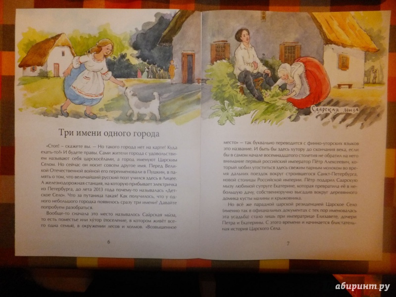 Иллюстрация 11 из 62 для Царское село - Елена Литвяк | Лабиринт - книги. Источник: Андреева  Юлия