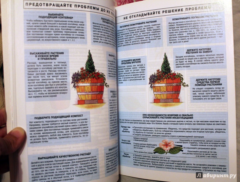 Иллюстрация 10 из 33 для Все о контейнерных растениях - Дэвид Хессайон | Лабиринт - книги. Источник: Голуб  Наталья