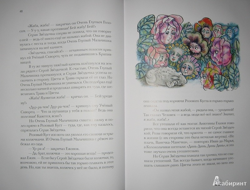 Иллюстрация 32 из 67 для Отшельник и Роза - Борис Заходер | Лабиринт - книги. Источник: Трухина Ирина