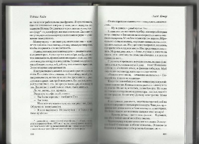 Иллюстрация 16 из 17 для Повелители стихий. Книга 1. Злой ветер - Рейчел Кейн | Лабиринт - книги. Источник: Абрамкина  Оксана