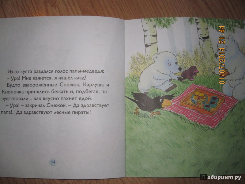 Иллюстрация 19 из 27 для Снежок становится лесным пиратом - Дервиль, Стеэр | Лабиринт - книги. Источник: Русских  Юлия