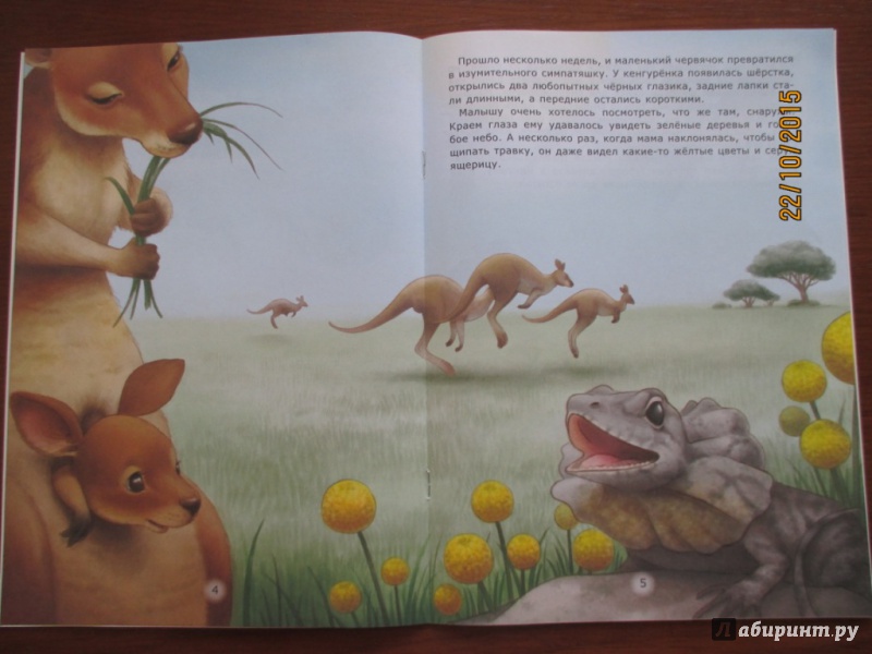 Иллюстрация 17 из 22 для Домик кенгуренка - Лариса Тарасенко | Лабиринт - книги. Источник: Марина Епифанцева