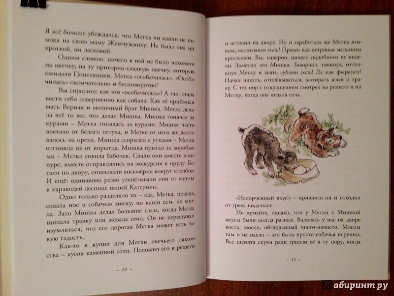 Иллюстрация 22 из 43 для Муха с капризами - Ян Грабовский | Лабиринт - книги. Источник: Псевдоним