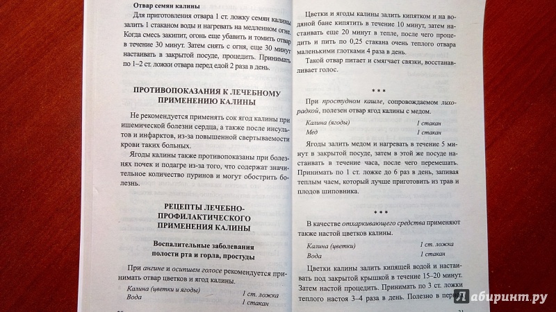 Иллюстрация 7 из 20 для Калина. Мифы и реальность - Иван Неумывакин | Лабиринт - книги. Источник: Alenta  Valenta