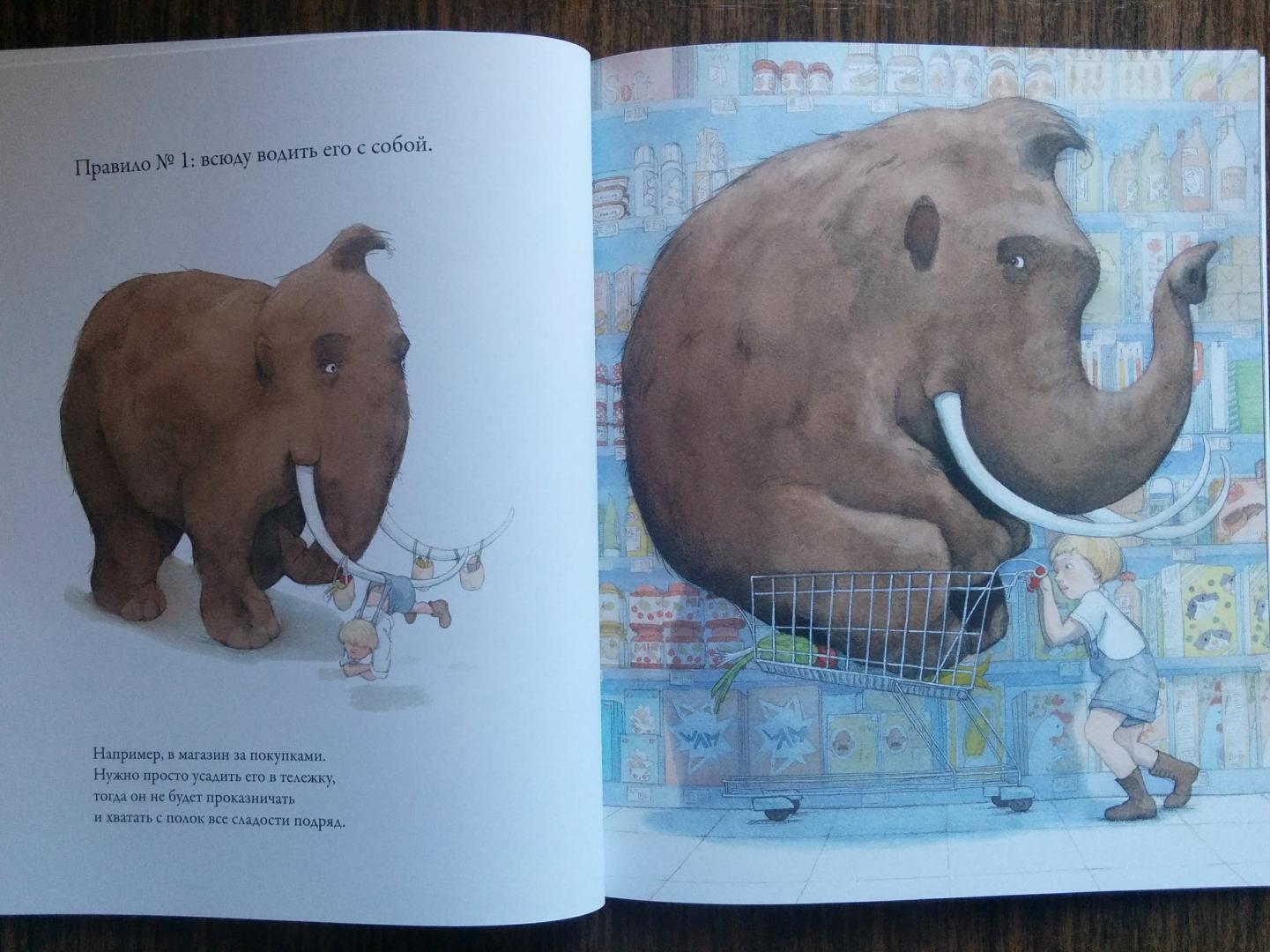 Иллюстрация 23 из 30 для Как воспитать домашнего мамонта - Квентин Гребан | Лабиринт - книги. Источник: Natalie Leigh
