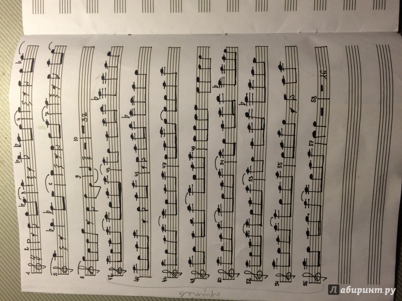 Иллюстрация 2 из 2 для Тетрадь для нот "Гитара", 8 листов (37843) | Лабиринт - канцтовы. Источник: Лабиринт
