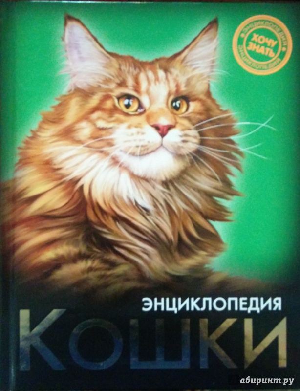 Иллюстрация 2 из 31 для Кошки - Леся Калугина | Лабиринт - книги. Источник: Annexiss