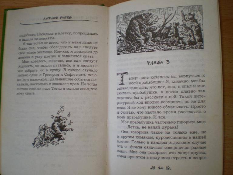 Иллюстрация 1 из 11 для Фредди и большой шурум-бурум - Дитлоф Райхе | Лабиринт - книги. Источник: Ирина