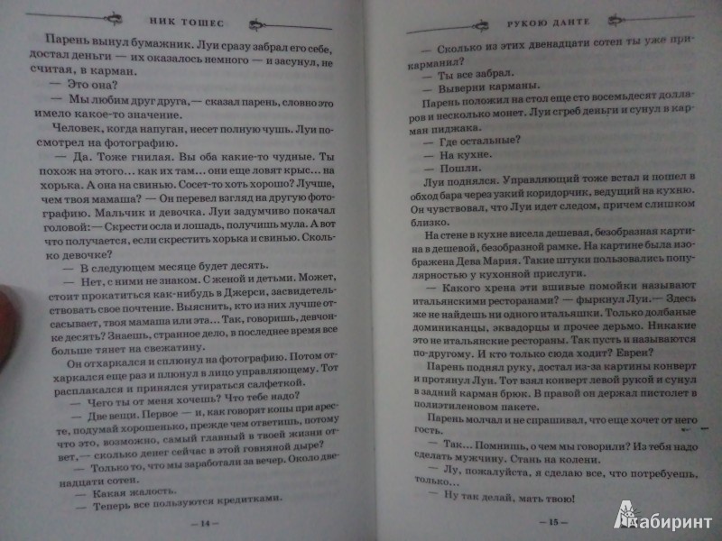 Иллюстрация 7 из 9 для Рукою Данте - Ник Тошес | Лабиринт - книги. Источник: Karfagen