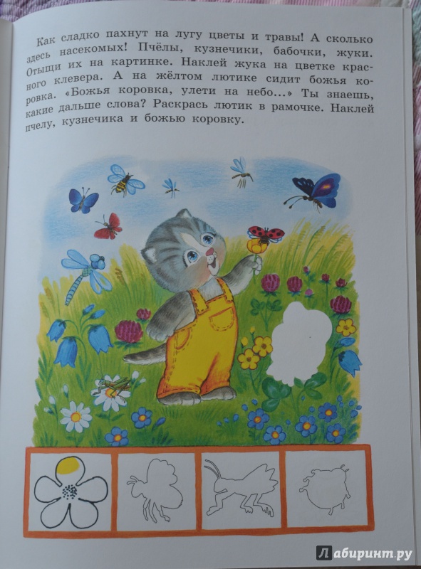 Иллюстрация 6 из 7 для Мечтаем о лете. Наклейки для умных котят. 3-4 года | Лабиринт - книги. Источник: Xenox
