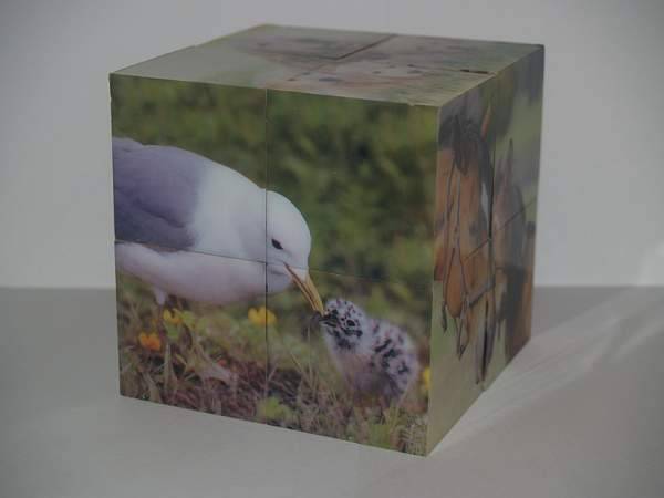 Иллюстрация 10 из 14 для Магнитные кубики-пазлы "Домашние животные" (8 кубиков, 12 пазлов) (14032) | Лабиринт - игрушки. Источник: Cовушка