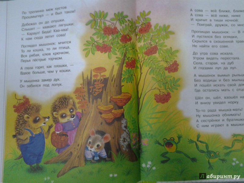 Иллюстрация 39 из 58 для Маленькие сказочки маленьким деткам - Чуковский, Маршак, Сутеев | Лабиринт - книги. Источник: Olga