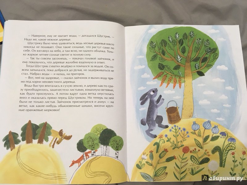 Иллюстрация 43 из 44 для Дерево для всех - Юлия Иванова | Лабиринт - книги. Источник: Сидорова  Юлия Викторовна