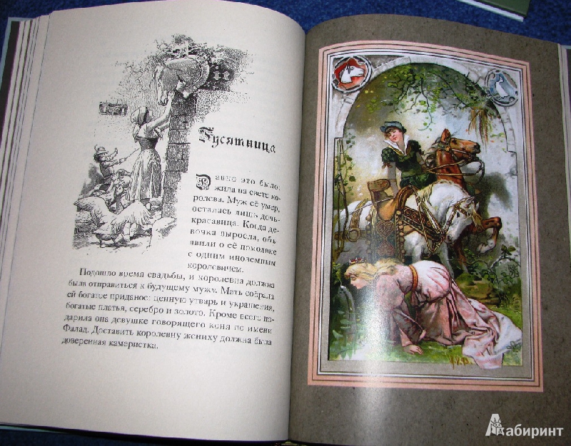 Иллюстрация 14 из 30 для Сказки - Гримм Якоб и Вильгельм | Лабиринт - книги. Источник: reader*s