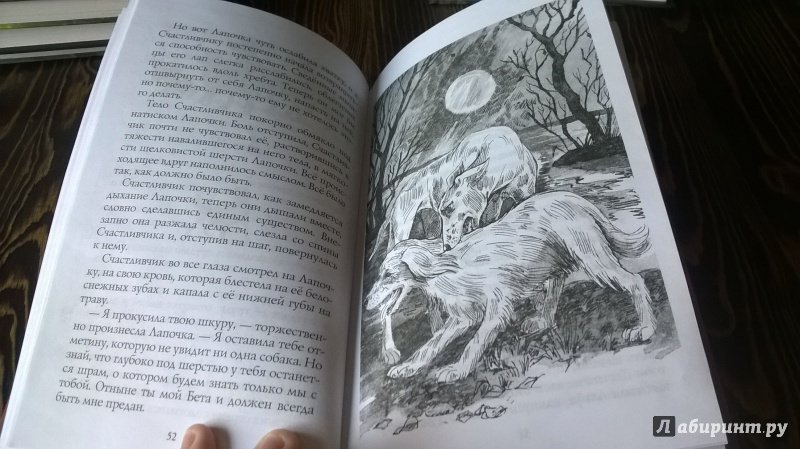 Иллюстрация 14 из 17 для Собачья гроза - Эрин Хантер | Лабиринт - книги. Источник: Кривцова  Любовь Евгеньевна