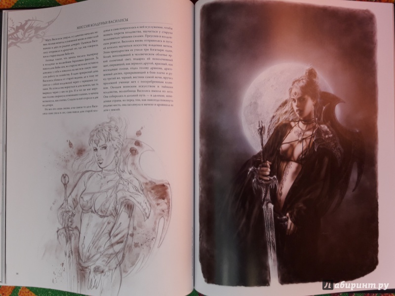 Иллюстрация 30 из 32 для Смертельная красота - Луис Ройо | Лабиринт - книги. Источник: B17d8  V04ger609