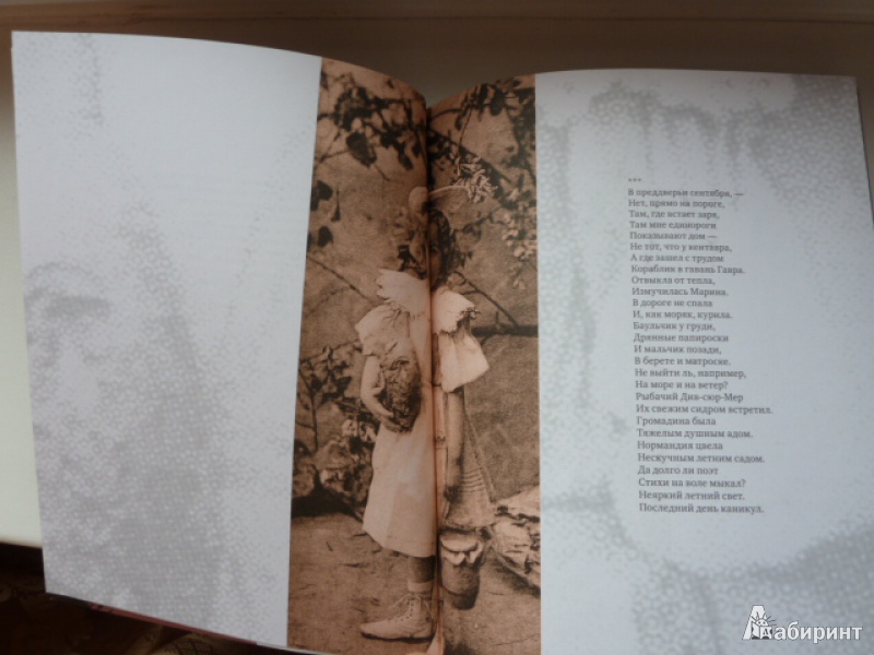 Иллюстрация 7 из 39 для Нормандская тетрадь - Вероника Долина | Лабиринт - книги. Источник: elenak