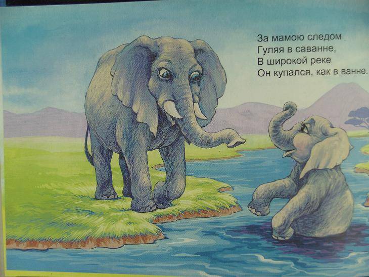 Иллюстрация 3 из 7 для Слоненок Санни - Владимир Борисов | Лабиринт - книги. Источник: мама малыша