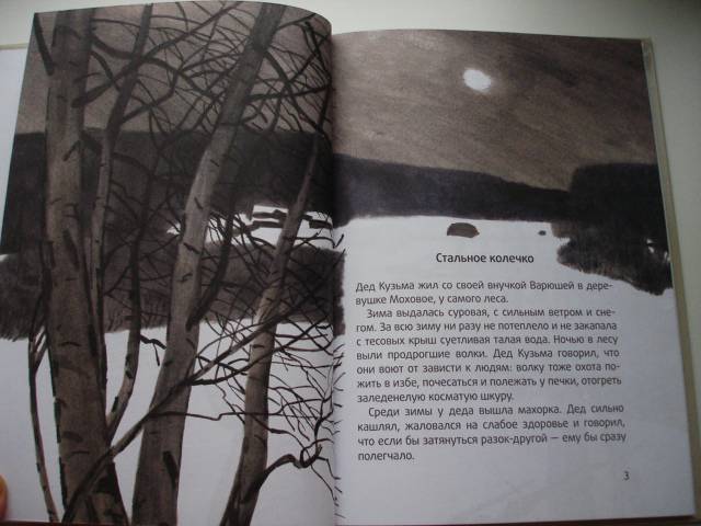 Иллюстрация 5 из 44 для Стальное колечко - Константин Паустовский | Лабиринт - книги. Источник: Осьминожка