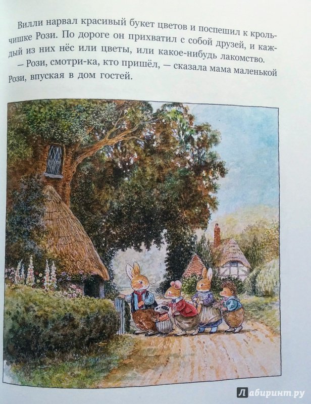 Иллюстрация 48 из 56 для Большое летнее приключение - Патерсон, Патерсон | Лабиринт - книги. Источник: Natalie Leigh